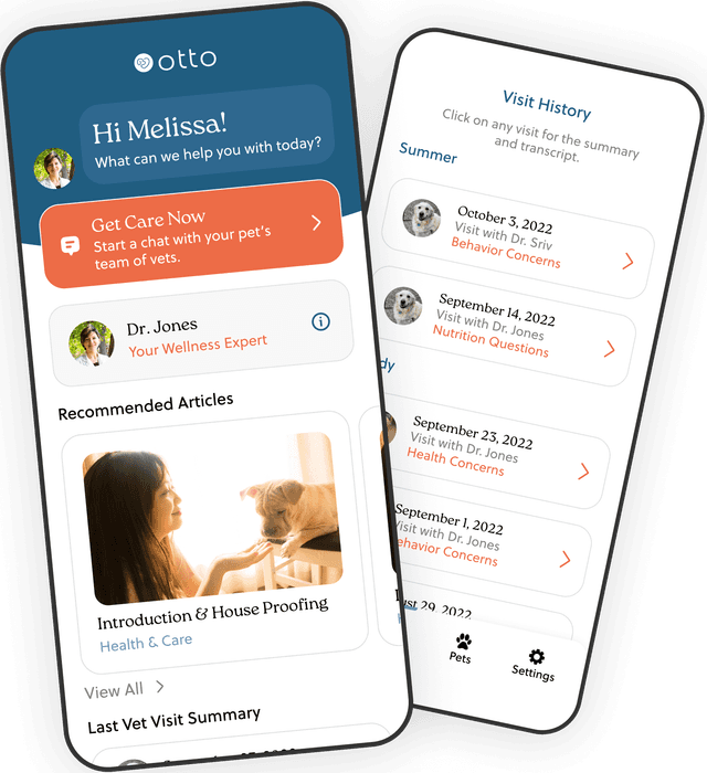 Otto app screens