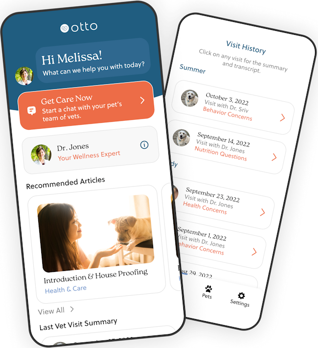 Otto app screens